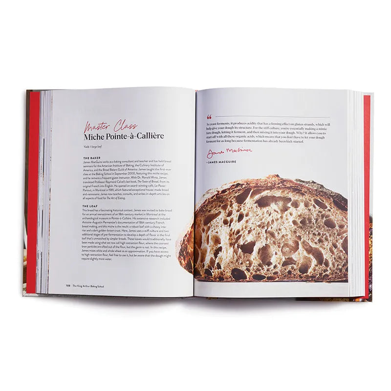 Baking School: Lessons and Recipes for Every Baker